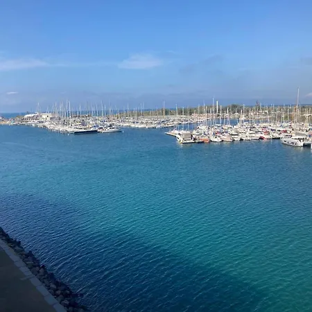 Vue Magnifique Sur Le Port Agde